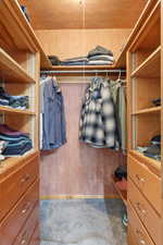Walk in closet featuring light carpet