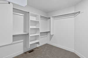 Walk in closet with dark carpet