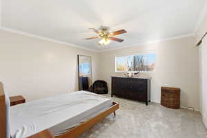 Bedroom featuring a closet, a ceiling fan, new carpet, and ornamental molding