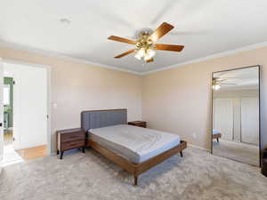 Bedroom featuring new carpet, ornamental molding, and a ceiling fan
