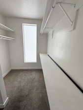 Primary Walk in closet with dark colored carpet