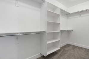 Walk in closet featuring dark colored carpet