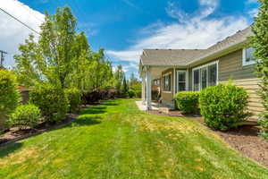 Expansive backyard featuring a manicured lawn, established perimeter trees, and mature shrubbery