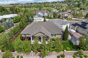 Aerial view of a tree filled landscape