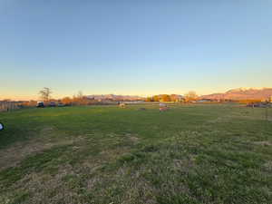 Irrigated Pasture with mountain view