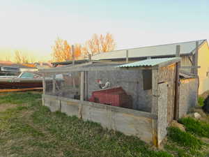 Chicken coop...chickens!