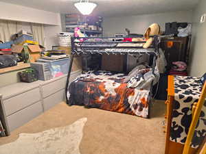 Large basement bedroom