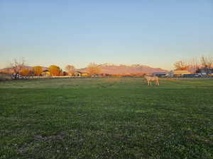 Irrigated pasture with mountain view