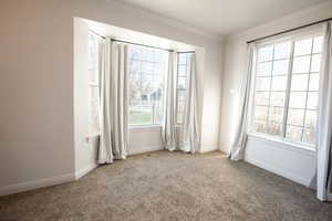 Empty room featuring crown molding, carpet flooring, and plenty of natural light