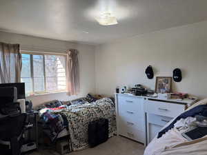 Bedroom with light carpet