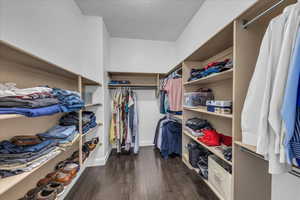 Walk in closet with dark wood-style floors