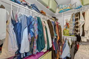View of walk in closet