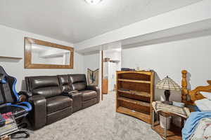 Home theater featuring light carpet and a textured ceiling
