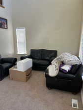 Living room featuring carpet