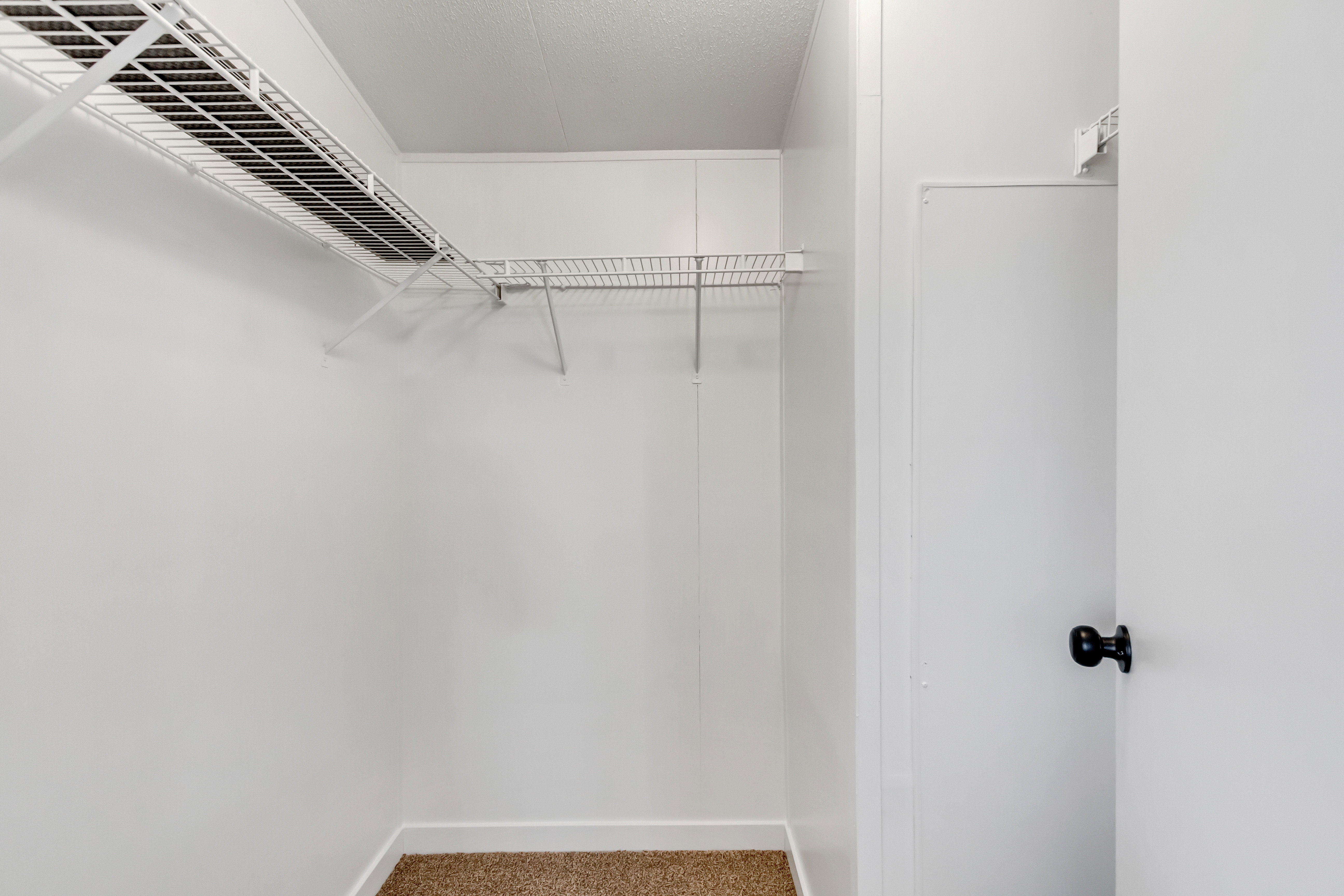 Walk in closet with carpet flooring