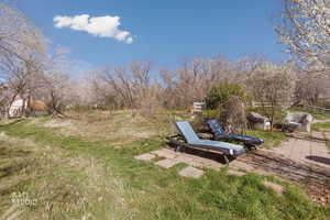 View of yard featuring a patio
