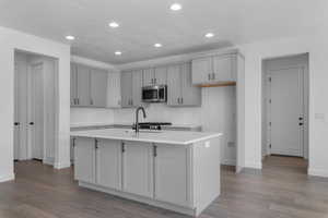 Kitchen featuring gray cabinets, dark wood-style floors, stainless steel appliances, an island with sink, and backsplash