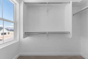 Walk in closet with carpet floors