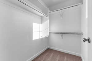 Walk-in closet featuring light-colored carpeting, white shelving, and chrome hanging rods