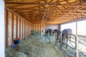 View of horse barn