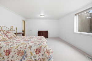 Bedroom with light colored carpet and crown molding