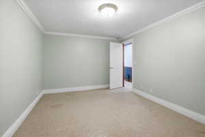 Empty room with light colored carpet, a textured ceiling, and crown molding
