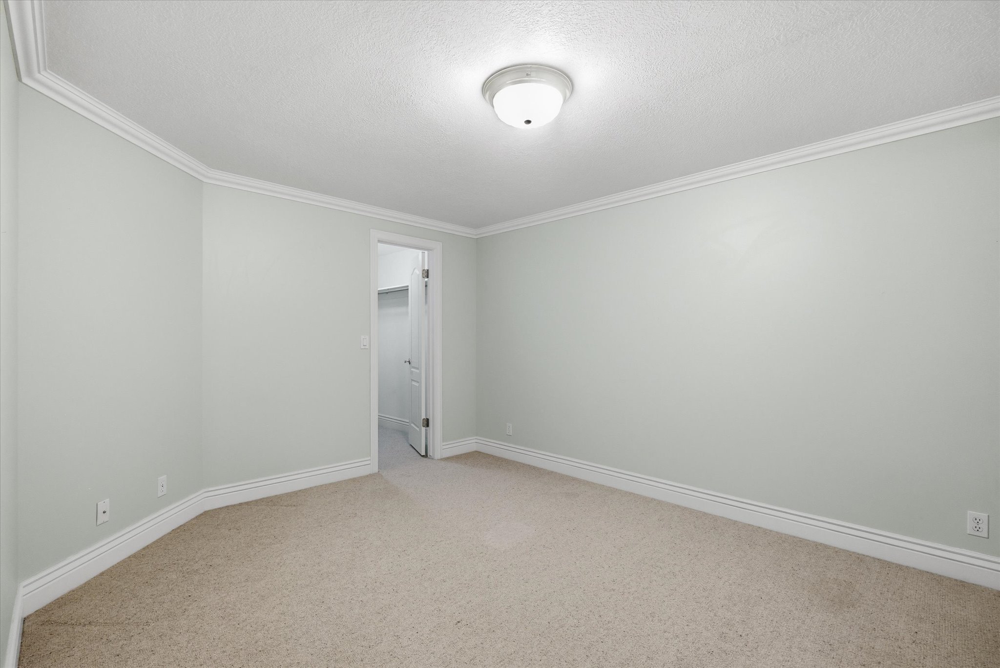 Spare room featuring light colored carpet, ornamental molding, and a textured ceiling
