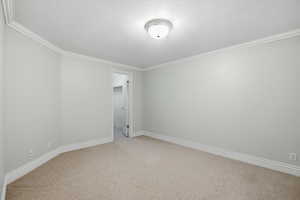 Spare room featuring light colored carpet, ornamental molding, and a textured ceiling