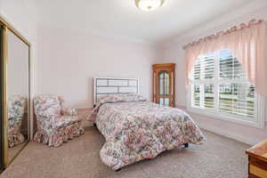 Bedroom with a closet, crown molding, and light carpet