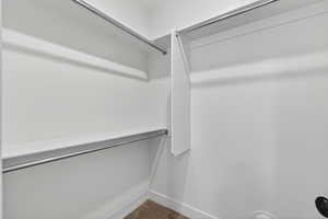 Walk in closet with carpet floors