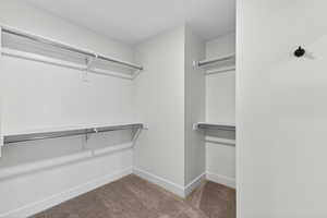 Walk in closet with carpet floors