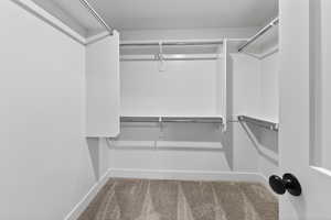 Walk in closet with light carpet