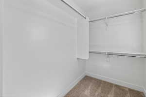 Walk in closet featuring light carpet