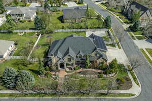 Aerial view of residential area