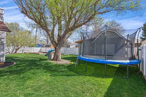 Fenced backyard with a trampoline
