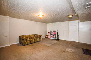 Rec room featuring carpet and a textured ceiling