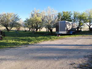 View of yard full of fruit trees