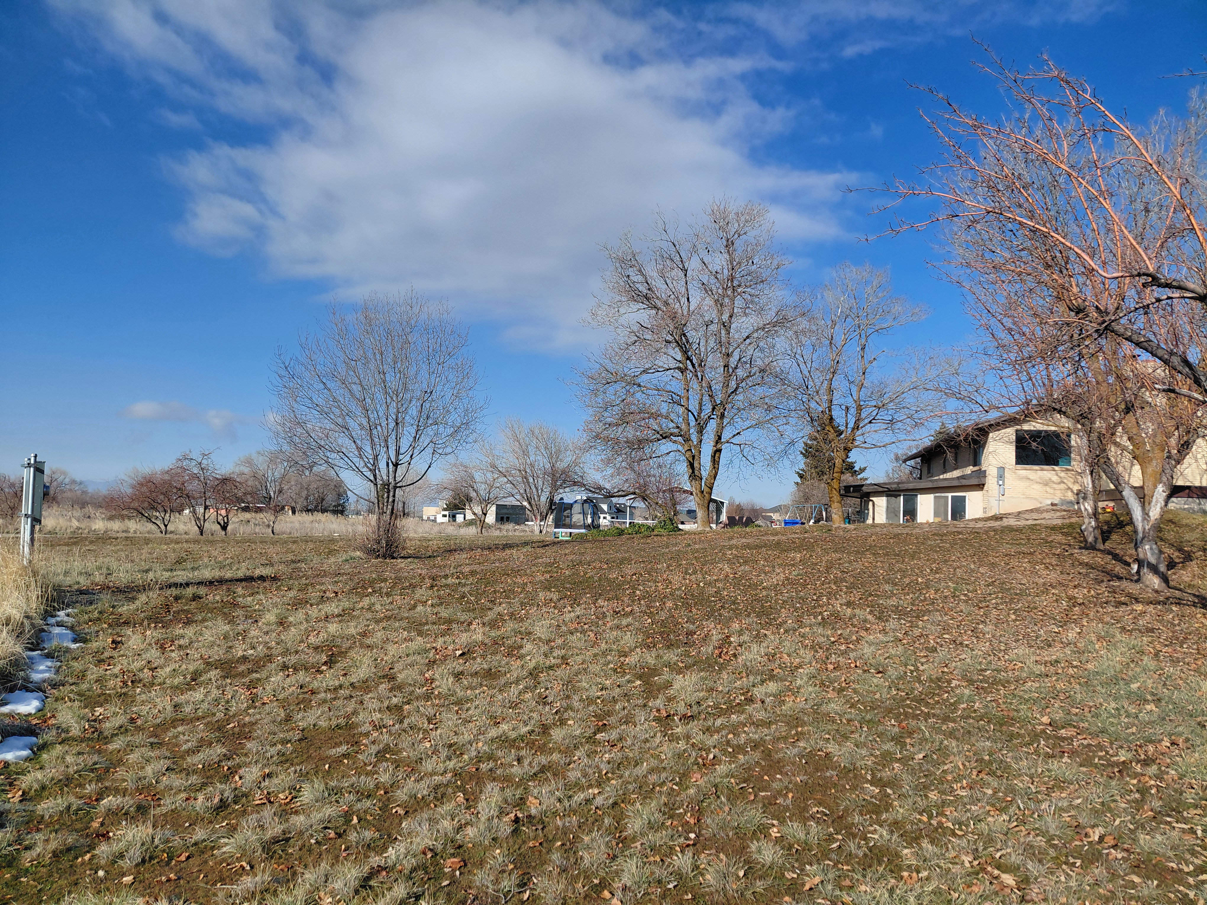View of South yard