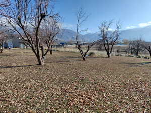 View of East yard and adjacent field featuring a mountain view
