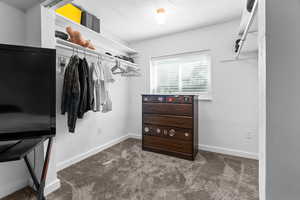 Walk in closet featuring dark carpet