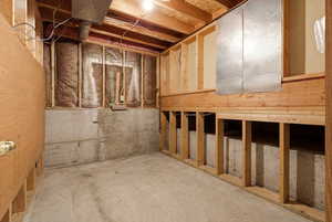 View of unfinished below grade area