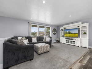 Living room featuring recessed lighting, wood finished floors, a textured ceiling, and carpet