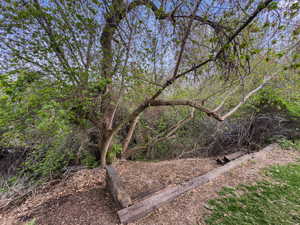 View of undeveloped land