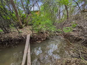 Water view featuring a tree filled landscape