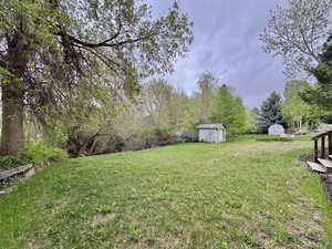 View of green lawn featuring a shed