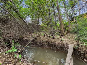 Water view featuring a tree filled landscape