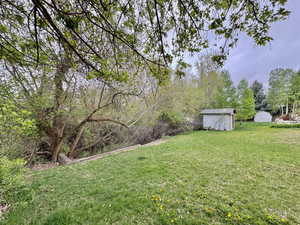 View of grassy yard with a storage unit