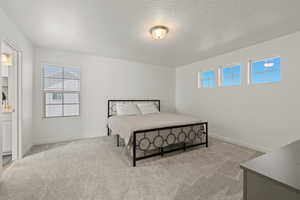Primary bedroom featuring light carpet and ample windows