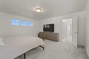 Primary bedroom featuring light carpet and ample windows