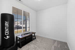 Main floor office space with carpet flooring and large window